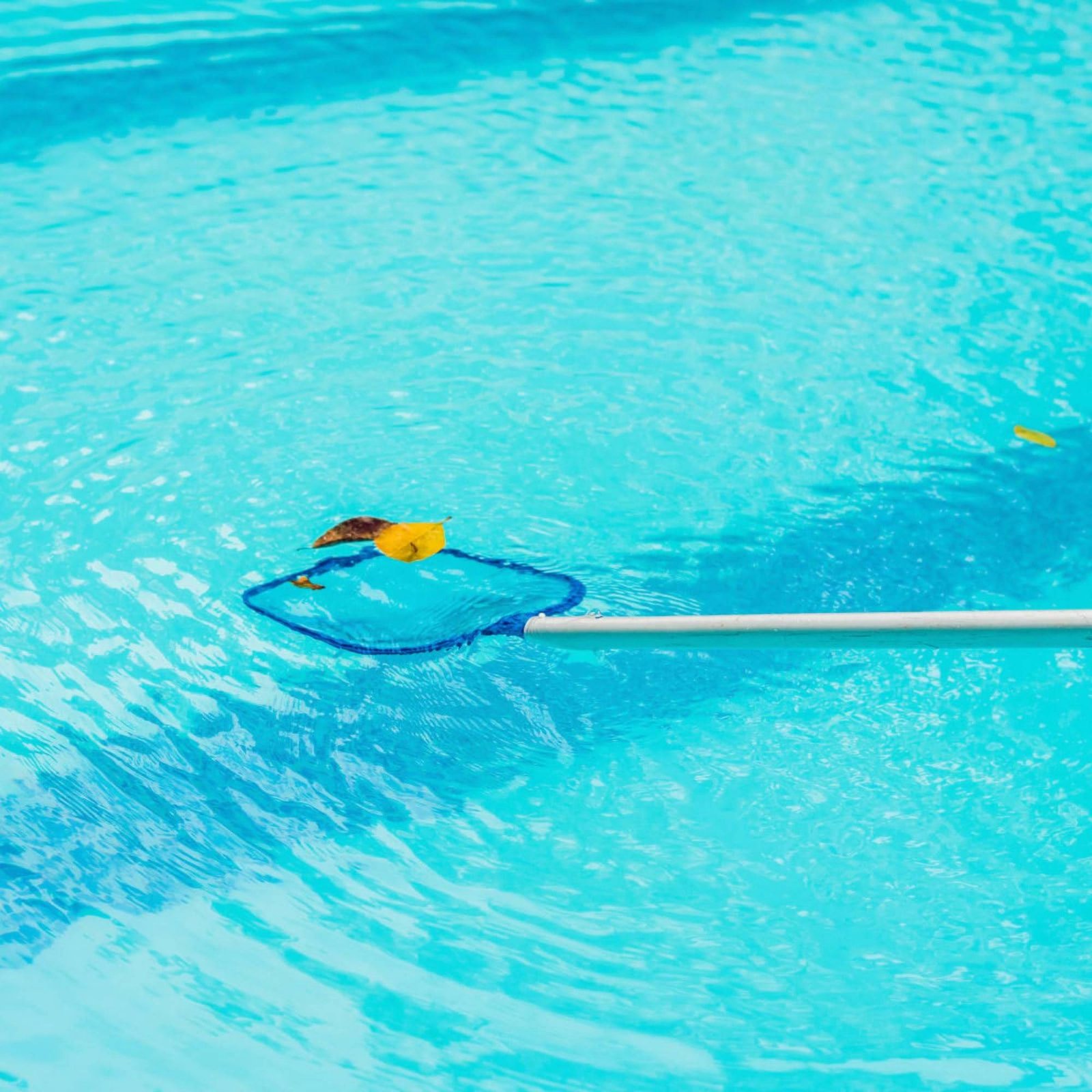Detachable Pool Foliage Net Ea - огляд і ціна Pool Skimmer Net
