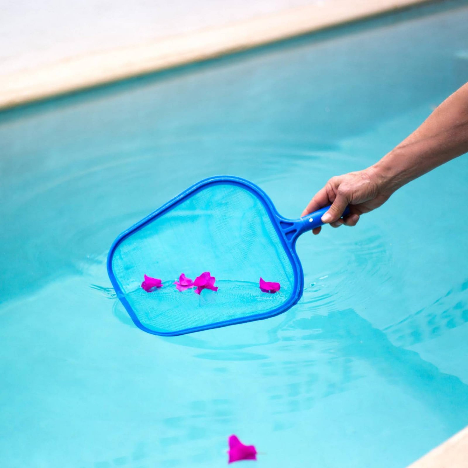 Detachable Pool Foliage Net Ea - огляд і ціна Pool Skimmer Net