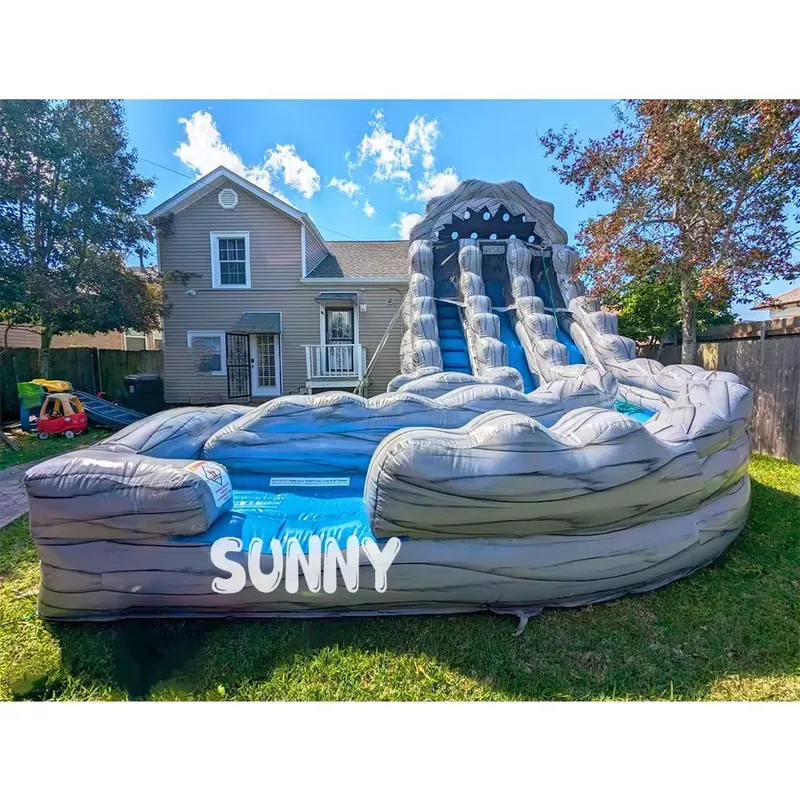 New Design City Commercial Kid - огляд і ціна Water Slide Inflatable